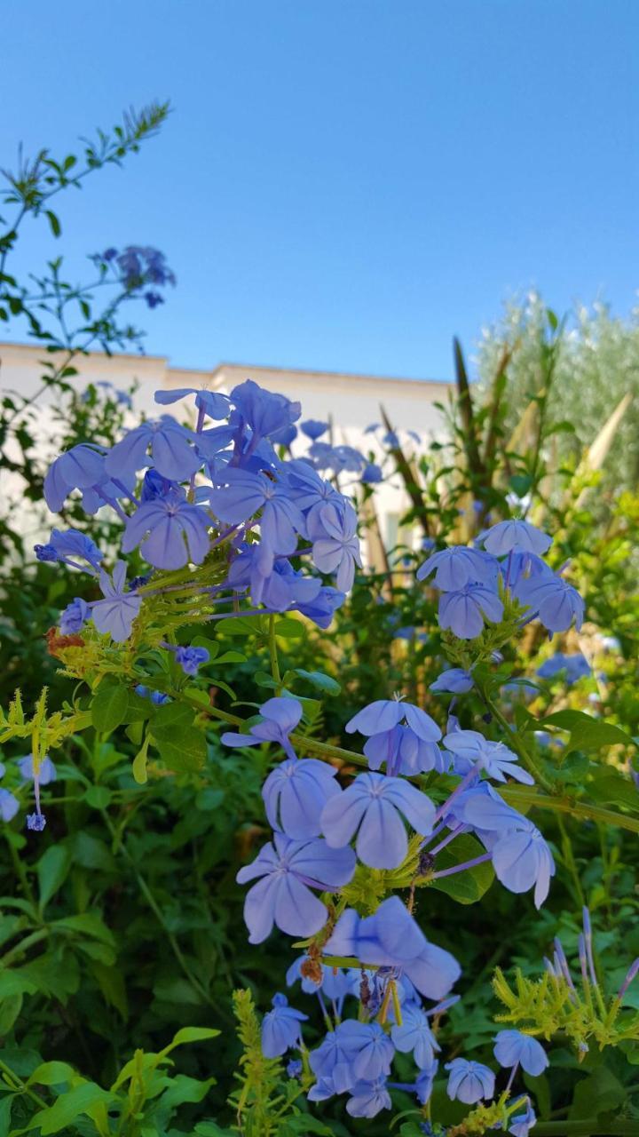 Bed and Breakfast The Proud Garden Каровиньо Экстерьер фото